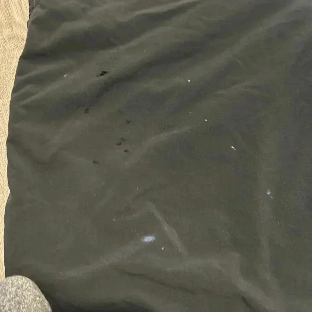 Patagonia shorts